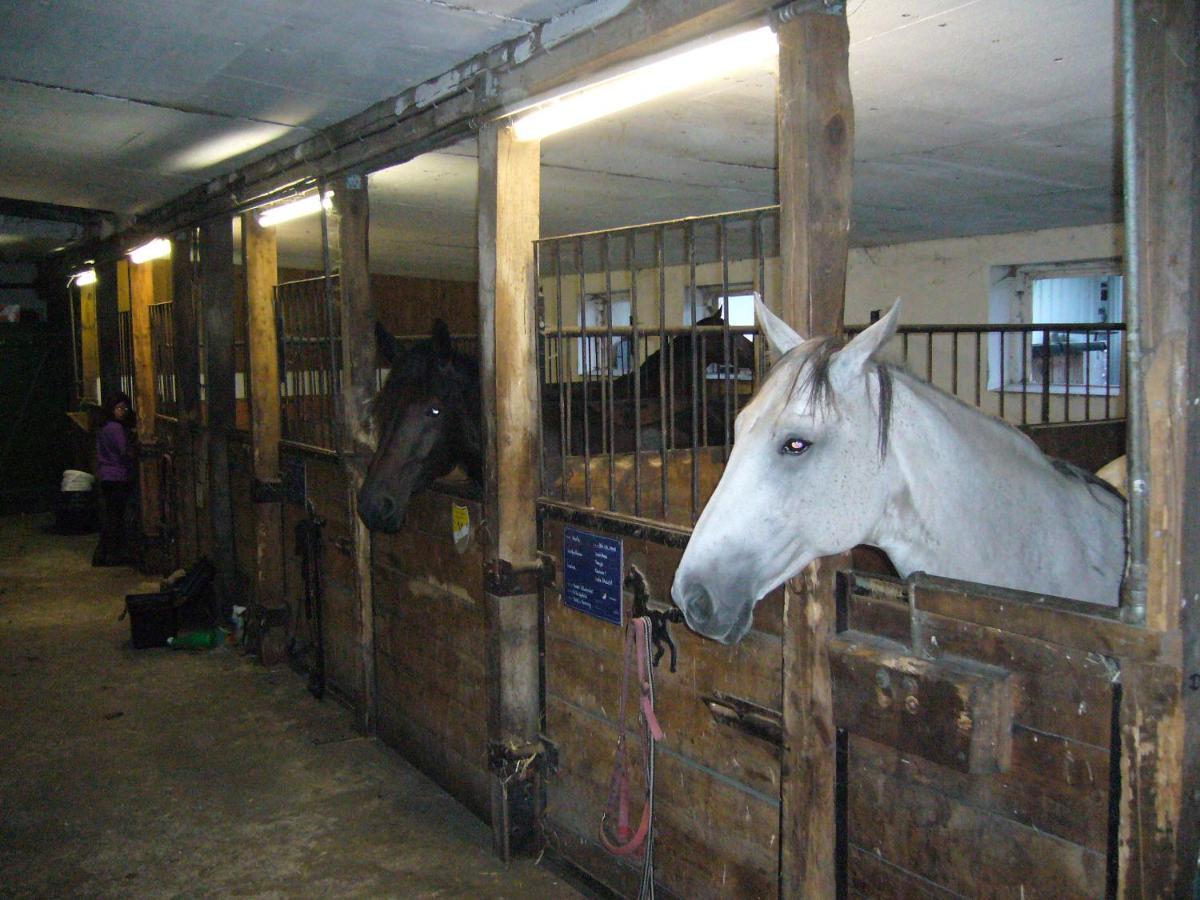 Ferienhof Drewes Ranch Wietzendorf Exterior photo