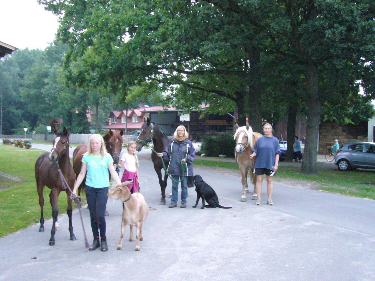 Ferienhof Drewes Ranch Wietzendorf Exterior photo